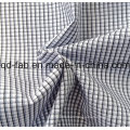 100%Cotton Yarn Dyed Shirting Fabric (QF13-0397)